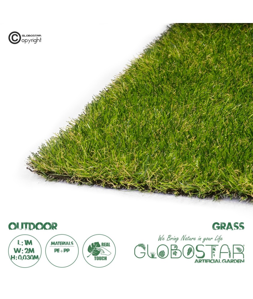 GloboStar® Artificial Garden AUTUMN GRASS 20149 Τεχνητό Συνθετικός Χλοοτάπητας Διακοσμητικό Γρασίδι - Γκαζόν για Ανάπλαση Κήπου - με Πλάτος 2m και Ύψος Πέλους 30mm Μ100 x Π200 x Υ3cm (Πωλείται ανά 2τ.μ.) Εξωτερικού Χώρου IP68 UV Certified Protection